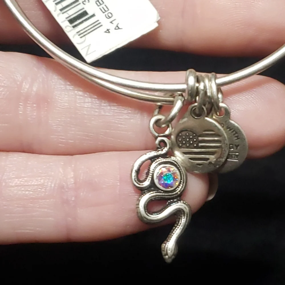 NWT Alex & Ani Rafaelian Silver Snake & Swarovski Crystal 2017 - Picture 6 of 13